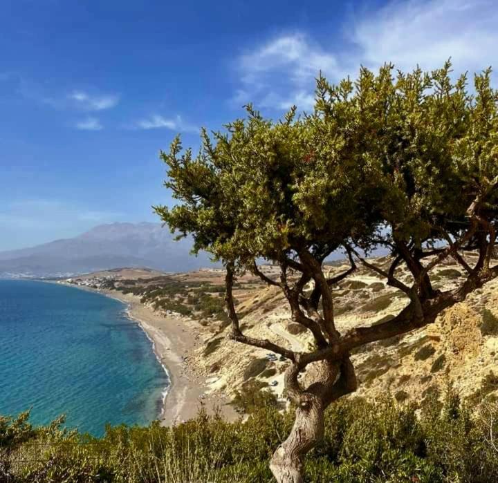 Ilios Kalamaki ภายนอก รูปภาพ